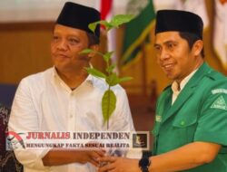 Ansor Jatim Bangun Ekonomi Kader Lewat Perkebunan Kakao
