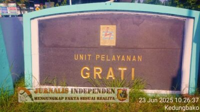 ULP PLN Grati Segera Tindak Tegas Terkait Pencurian Aliran Listrik Di Acara Resepsi Pernikahan Yang Digelar Dilingkungan Desa Kalipang