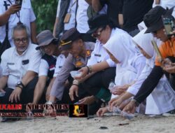 Lepas 101 Tukik di Pantai Wediombo, Bukti Pesisir Pantai Gunungkidul masih Lestari
