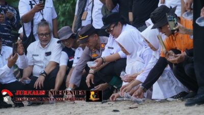 Lepas 101 Tukik di Pantai Wediombo, Bukti Pesisir Pantai Gunungkidul masih Lestari