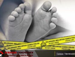 GEGER..!! SESOSOK MAYAT BAYI DITEMUKAN WARGA DIBAWAH POHON BERINGIN