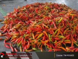 Harga Cabai Rawit di Pasar Induk Pare Turun Terendah Rp12.000 Per Kilogram