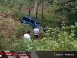 Lantaran Kaget, Mobil Terperosok ke Jurang: Sopir Alami Luka-Luka