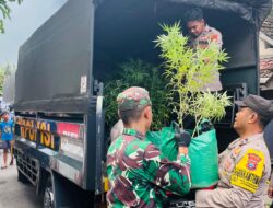 Gerebek Rumah Kontrakan di Jombang, Polisi Bongkar Ladang Ganja Skala Besar