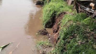 Tanggul Sungai Rejoso Longsor, Warga Dusun Ngemplak Desak Pemerintah Bertindak Cepat