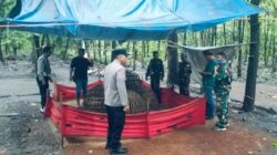 Penggerebekan Judi Sabung Ayam di Sendangrejo Jombang, Aparat Bergerak — Dalang Masih Misterius