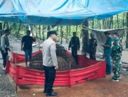 Penggerebekan Judi Sabung Ayam di Sendangrejo Jombang, Aparat Bergerak — Dalang Masih Misterius