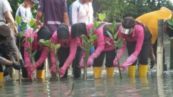 Sambut HUT ke-46, YKB Tanjung Perak Tanam Mangrove Pulihkan Lahan Kritis