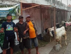 Sendang Jaya Farm Buka Lapak Penjualan Kambing di Gayungan 1 Surabaya