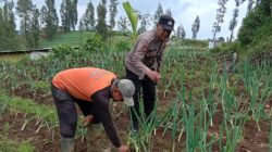 Polisi Turun ke Kebun Bawang Prei, Dorong Warga Aktif Bertanam untuk Ketahanan Pangan