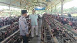Bhabinkamtibmas Polsek Rembang Laksanakan Pemantauan Peternakan Ayam Petelur Dukung Ketahanan Pangan Nasional