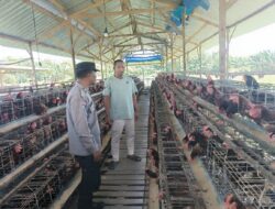 Bhabinkamtibmas Polsek Rembang Laksanakan Pemantauan Peternakan Ayam Petelur Dukung Ketahanan Pangan Nasional