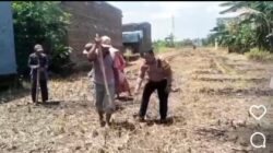 Polsek Tosari Pantau Lahan Kentang di Ngadiwono, Dukung Asta Cita Ketahanan Pangan