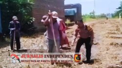 Polsek Tosari Pantau Lahan Kentang di Ngadiwono, Dukung Asta Cita Ketahanan Pangan