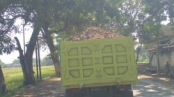 Truk Tambang Banyubiru Diduga Abaikan Keselamatan Jalan, Warga Resah: APH dan Pemda Jangan Tutup Mata
