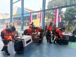 Terbang dengan Pesawat Khusus, Polri Kerahkan 10 K9 SAR Berpengalaman ke Flores, Misi Pencarian Korban