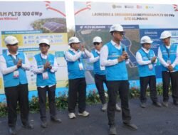 Sinergi PLN Group, PLN Icon Plus Dukung Percepatan Program PLTS 100 GWp