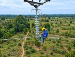 Semangat Hari Sumpah Pemuda, HLN ke-81: PLN Perkuat Peran Listrik sebagai Penggerak Kehidupan dan Kemandirian Bangsangsa